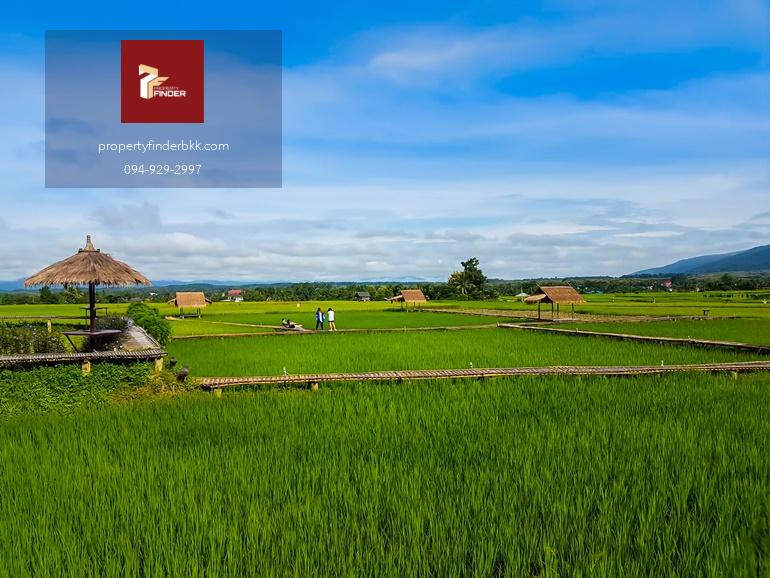 ที่ดิน ทำเลทอง เเถบนครนายก ว่าที่กรุงเทพ2 ติดถนนใหญ่ ราคาขึ้นเเน่นอนในอนาคต