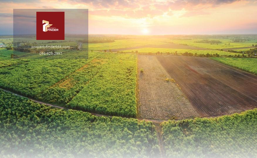 ที่ดิน ทำเลทอง เเถบนครนายก ว่าที่กรุงเทพ2 ติดถนนใหญ่ ราคาขึ้นเเน่นอนในอนาคต