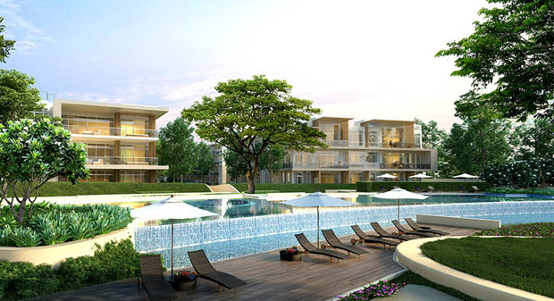 banner-project-details