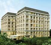 banner-project-details