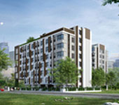 banner-project-details