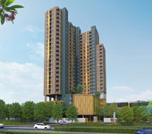 banner-project-details