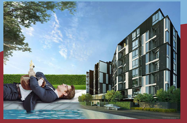 banner-project-details