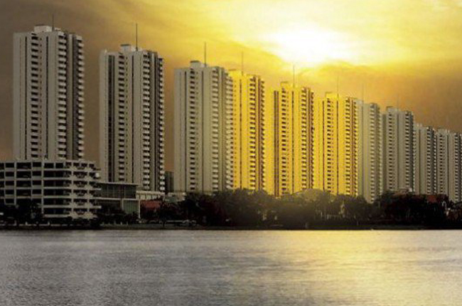 banner-project-details