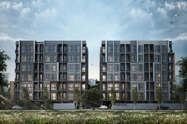 banner-project-details