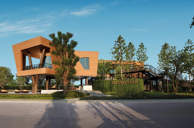 banner-project-details