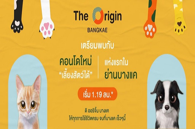 banner-project-details