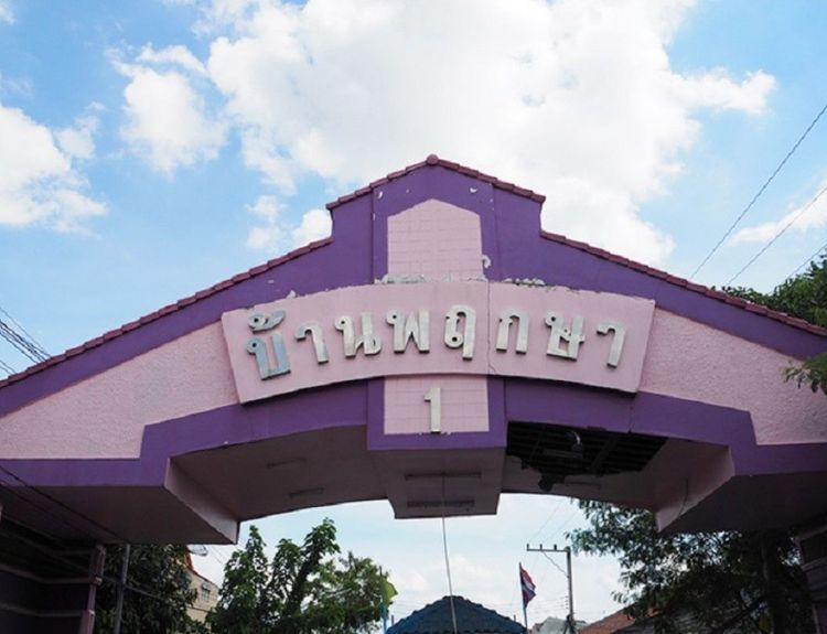 banner-project-details