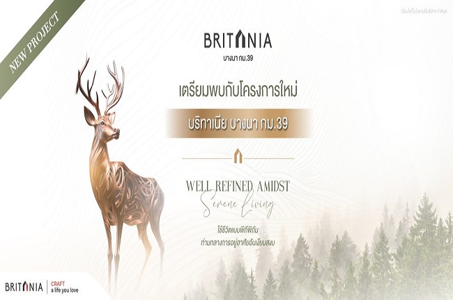 banner-project-details