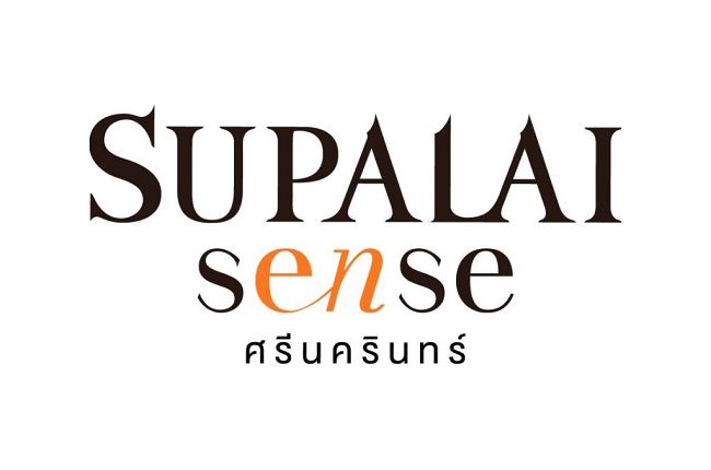 banner-project-details