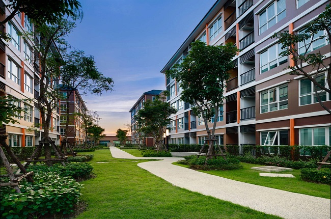 banner-project-details