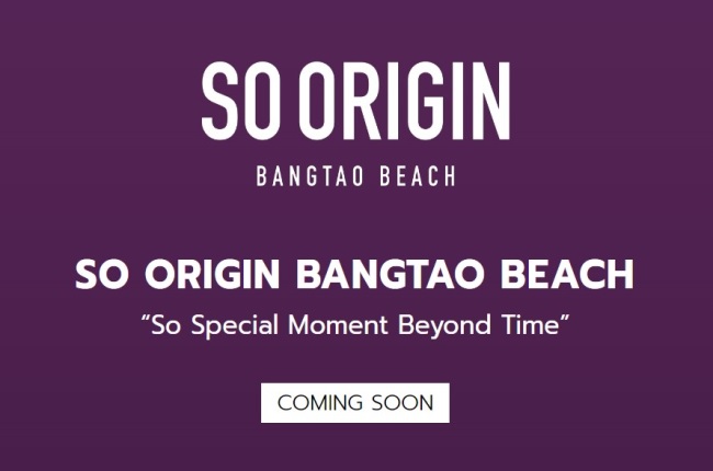 banner-project-details