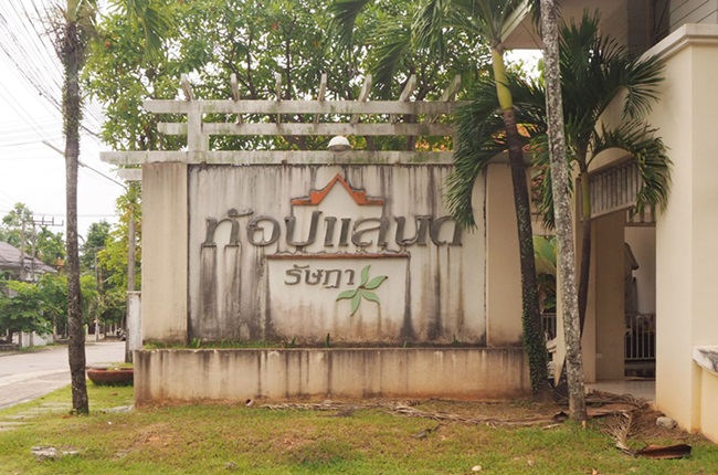 banner-project-details