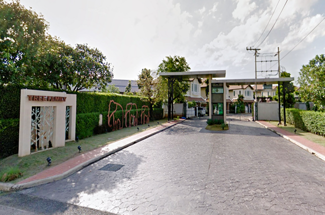 banner-project-details