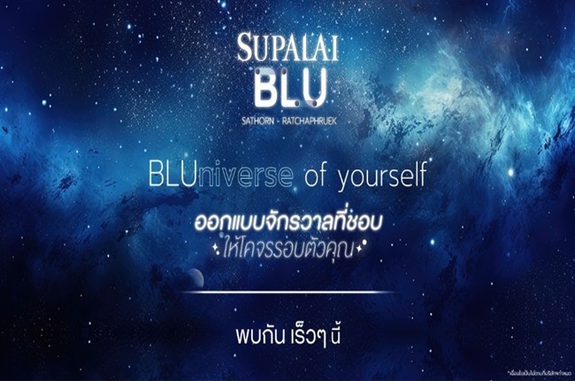 banner-project-details