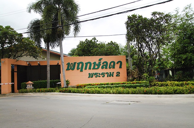 banner-project-details