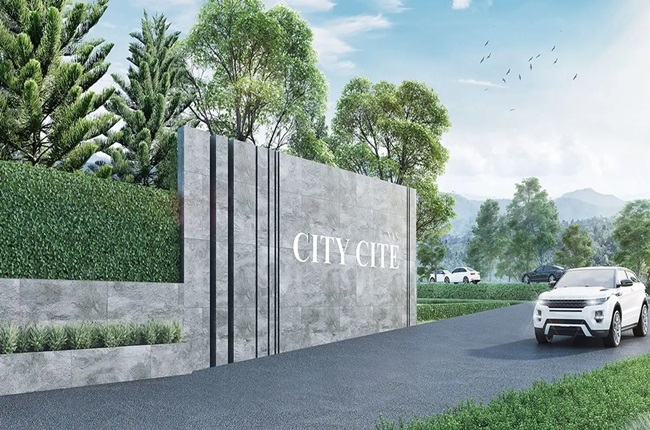 banner-project-details